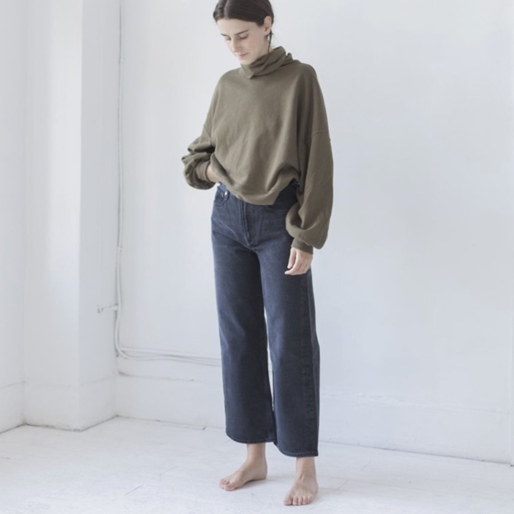 Agolde Ren Wide leg High rise jean in Smoke